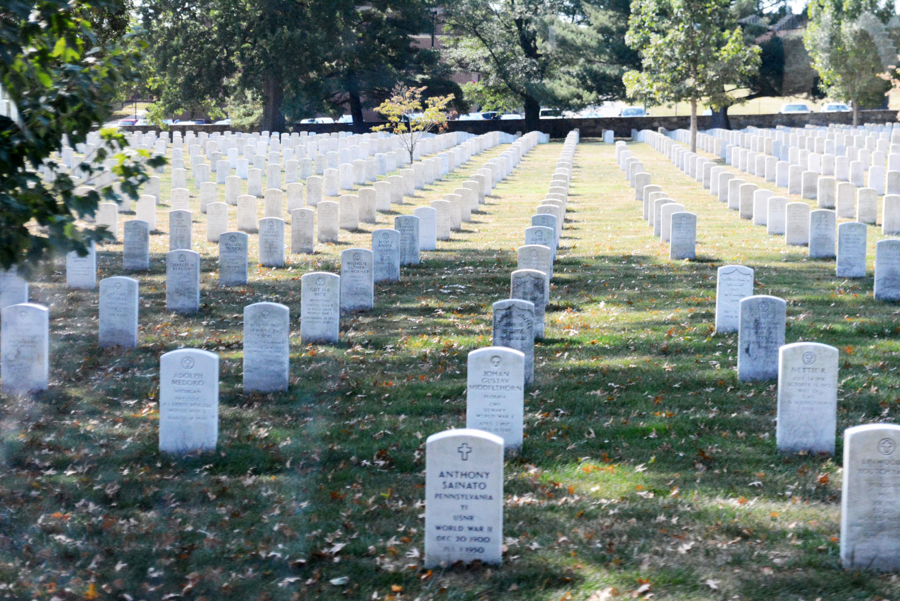 Arlington.jpg